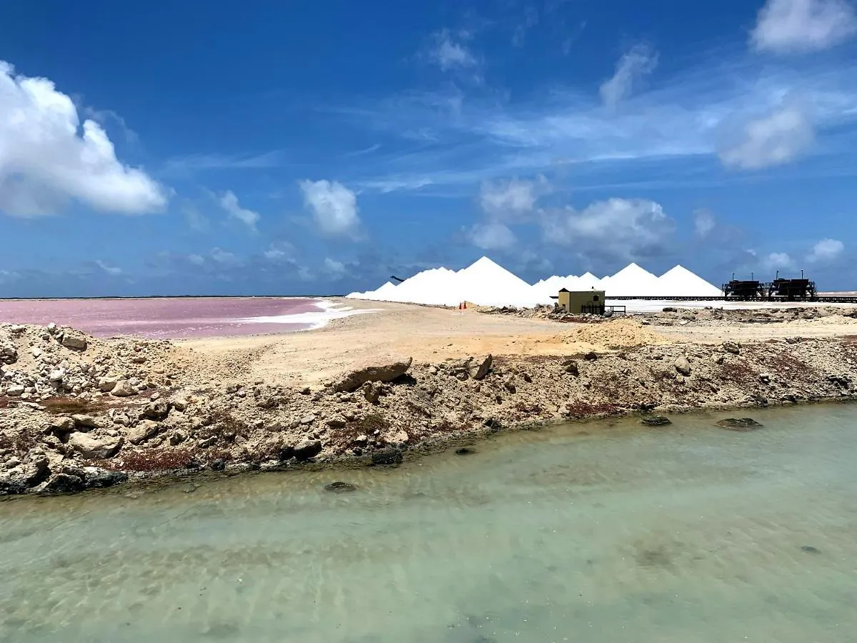 Appartamento Penthouse Prikichi D2 Kralendijk 0*,  Bonaire, Sint Eustatius e Saba