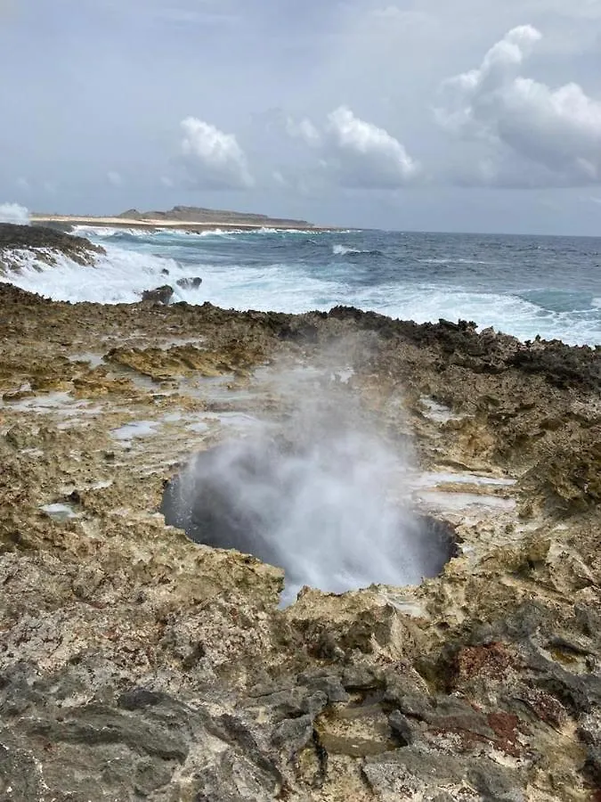 Appartamento Penthouse Prikichi D2 Kralendijk 0*,  Bonaire, Sint Eustatius e Saba